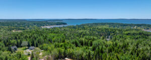 Aerial of green forest and blue ocean in Acadia; Photo Credit: Peter G. Morneau Photography