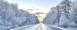 Snowy Commute and snow covered trees; Photo Credits Darrin Landry