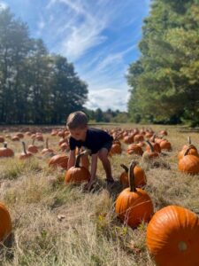 Boy picking pumpkin; Photo Credit: Meghan Candee.