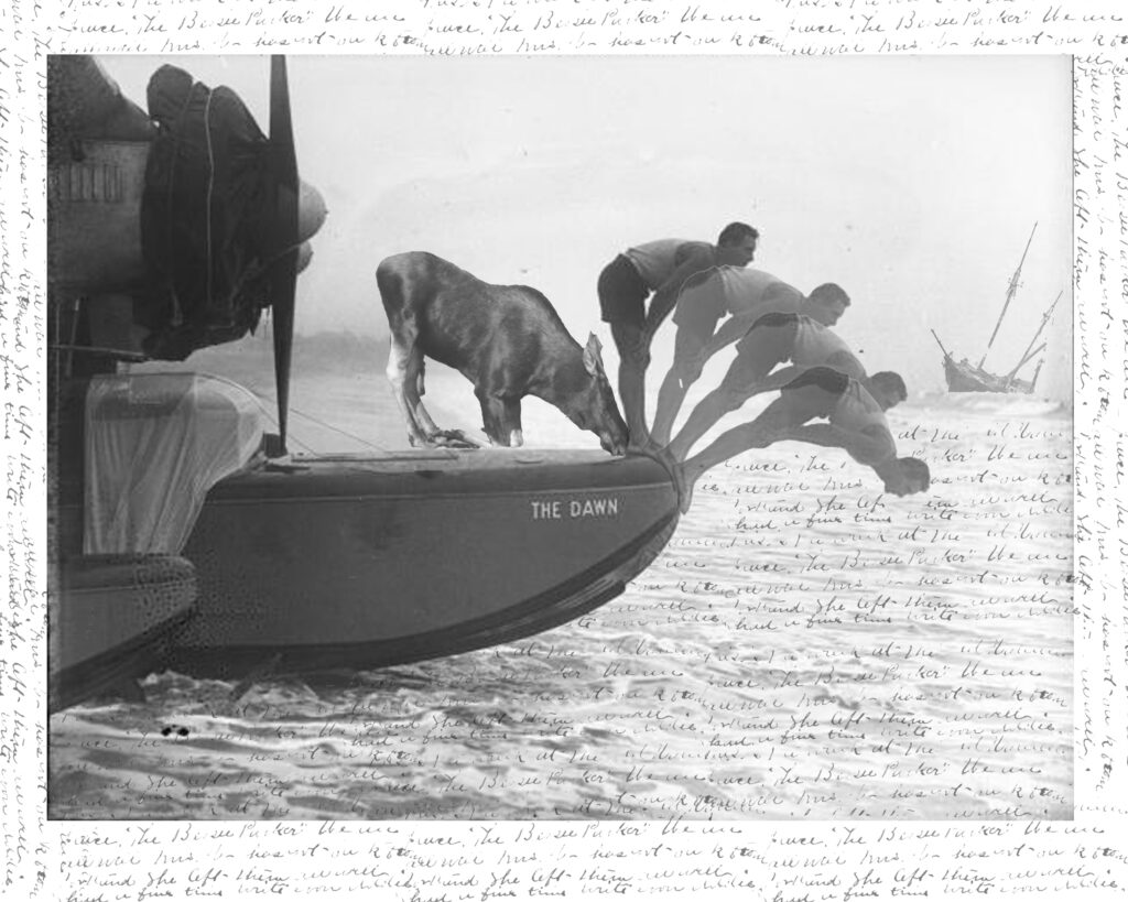 Collage by Cecily Niese of Waynflete_Rearranging History Exhibit_MHS; Courtesy of Maine Historical Society