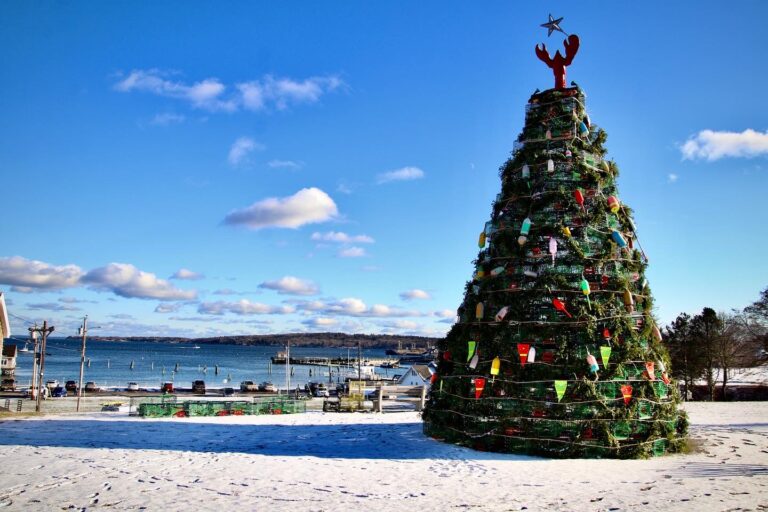 photo credit: Steven Bridges, Lobster Trap Tree