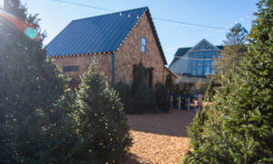 LLBean Campus in Freeport in the winter; Photo Credit: Lauren Peters at Visit Portland