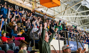 Maine Mariners audience cheering for team; Photo Credit: Maine Mariners Photography Team