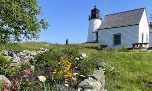 Burnt Island Lighthouse with flowers; Photo Credit: Maine Maritime Museum
