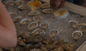 Person shucking oysters closeup; Photo Credit: Digital Edge