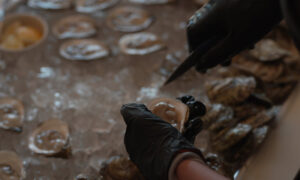 Person shucking oysters closeup; Photo Credit: Digital Edge