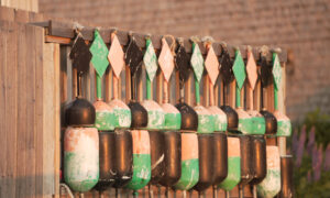 Buoys hanging on fence; Photo Credit: Digital Edge