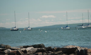 Sailboats in the water beyond a rocky shore; Photo Credit: Digital Edge