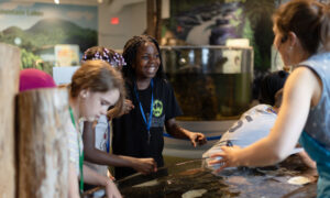 Kids playing with interactive water exhibit; Photo Credit: Hannah Ellsworth