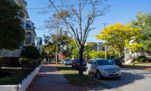 Portland street during fall; Photo Credit: Lauren Witt at Visit Portland