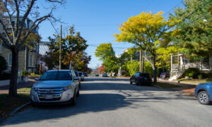 Portland street during fall; Photo Credit: Lauren Witt at Visit Portland