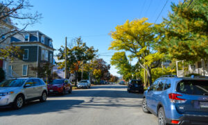 Portland street during fall; Photo Credit: Lauren Witt at Visit Portland
