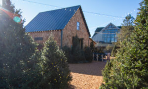 Happy Holidays shack on LLBean campus; Photo Credit: Lauren Witt at Visit Portland