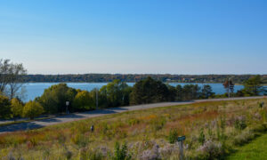 View of Back cove from Portland hill; Photo Credit: Lauren Witt at Visit Portland