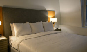 Interior of Docents Collection room; Photo Credit: Lauren Witt at Visit Portland