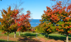 Casco Bay and red trees in the fall; Photo Credit: Lauren Witt at Visit Portland