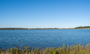 Back Cove trail on a sunny day; Photo Credit: Lauren Witt at Visit Portland