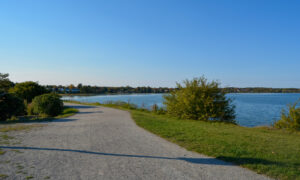 Back Cove trail on a sunny day; Photo Credit: Lauren Witt at Visit Portland