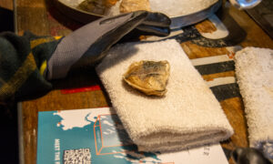 Shucking Oysters at Maine Oyster Co. Photo Credit: Lauren Witt at Visit Portland