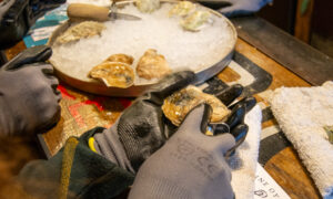 Shucking Oysters at Maine Oyster Co. Photo Credit: Lauren Witt at Visit Portland
