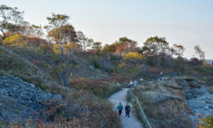Cliff walk along in Fort Williams Park; Photo Credit: Lauren Witt at Visit Portland
