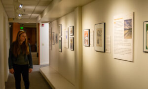 Woman admiring history exhibit; Photo Credit: Lauren Witt at Visit Portland