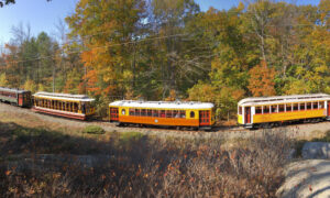 Yellow trains moving through fall foliage; Photo Credit: Seashore Trolley Museum Collection