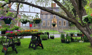 Flower market in front of Tate House Museum; Photo Credit: Tate House Museum