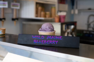 Maine Blueberry Ice Cream. Photo Provided by Willard Scoops