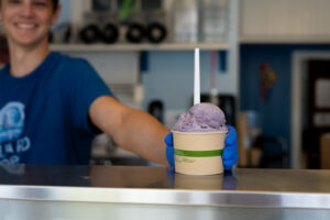 Maine Blueberry Ice Cream. Photo Provided by Willard Scoops