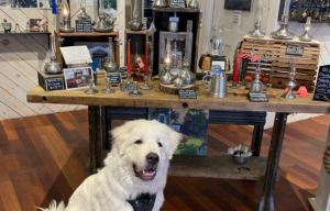 Pepe at Danforth Pewter Portland Store. Photo Provided by Danforth Pewter