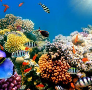 Photo Credit Southworth Planetarium