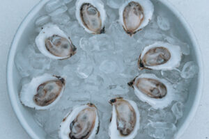 Oysters. Photo Credit: Emily Zolo