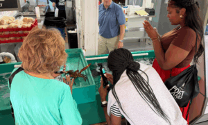 The Clam Shack, Photo Credit: Ed Hodgdon, The Maine Beaches