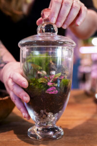Terrarium, Photo Credit: Capshore Photography