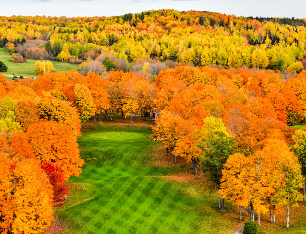Fall Foliage in Aroostook County. Photo Credit: Paul Cyr Fall Foliage in Aroostook County. Photo Credit: Paul Cyr