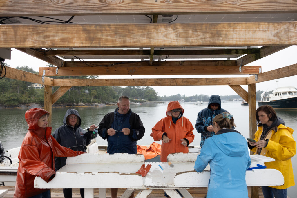 Group shucking oysters. Photo Credit: Lady Oyster Tours & Tastings