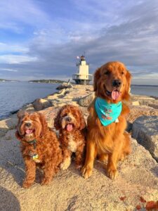 Photo by Adventures of Teddy Leo and Duke