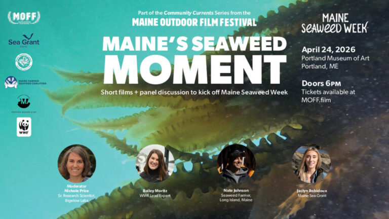 Maine-Seaweed Moment Poster. Provided by Maine Outdoor Film Festival