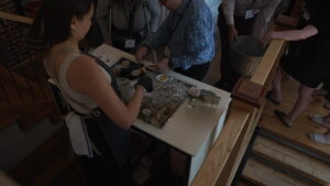 Oysters Being Shucked. Photo credit: Digital Edge