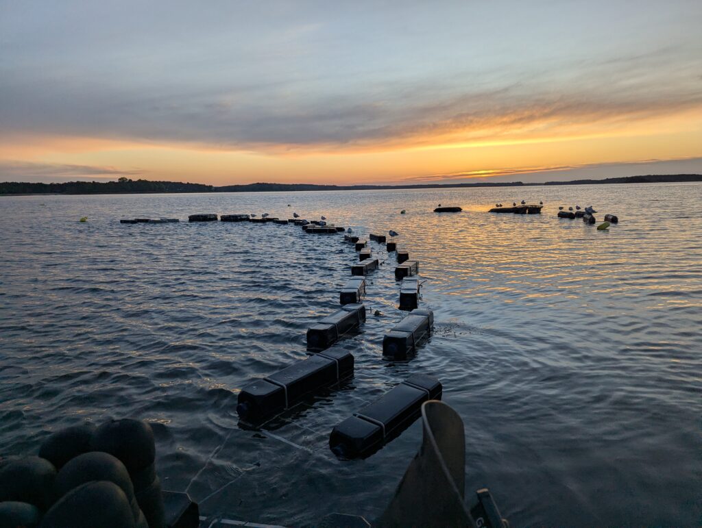 Oyster Farm. Photo Provided by Indigo Oyster Company
