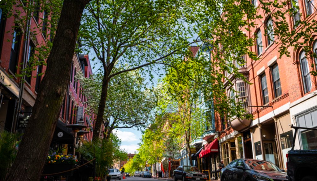 A tree-lined city street with historic red brick buildings on a sunny day in Portland Maine.