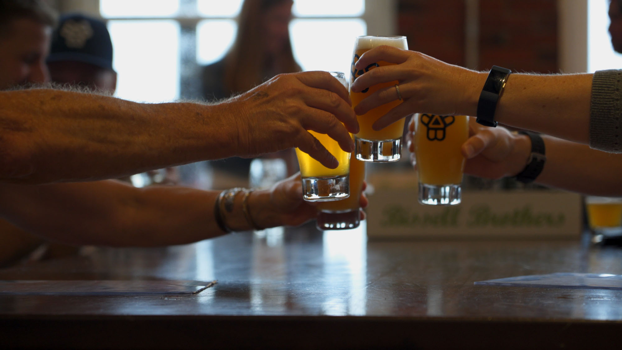 A group of people clinking glasses of beer together in a toast in Portland Maine.