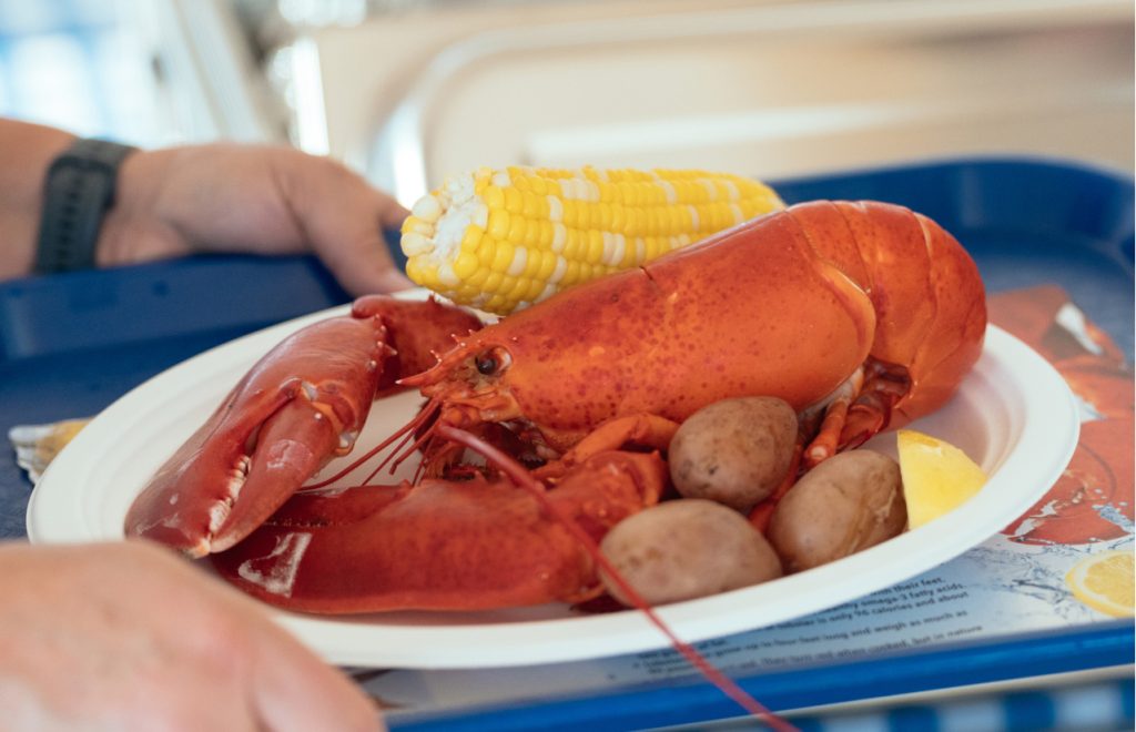 A cooked whole lobster served with corn on the cob and potatoes on a plate in Portland Maine.