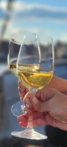 Wine Cheers on Wine Wise Sail. Photo credit: Kate McDonough