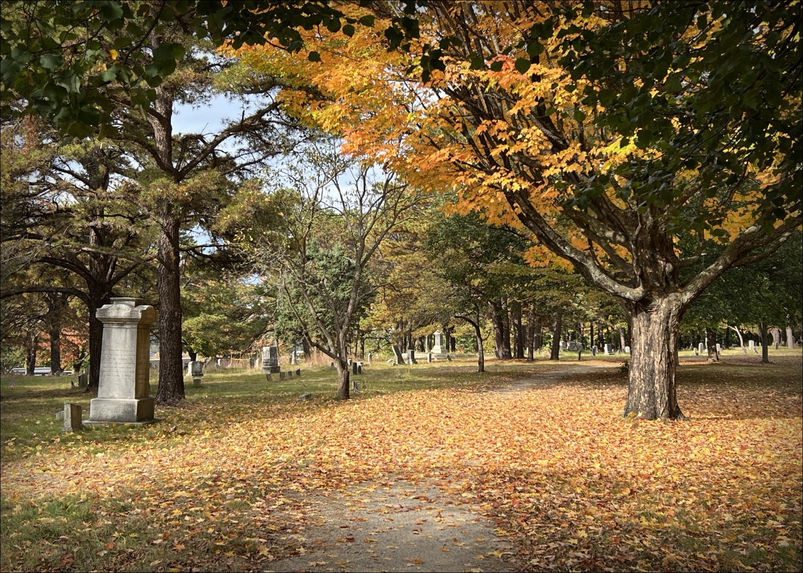A tranquil cemetery path covered in fallen autumn leaves under vibrant yellow trees in Portland Maine.