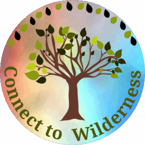 Connect to Wilderness Logo