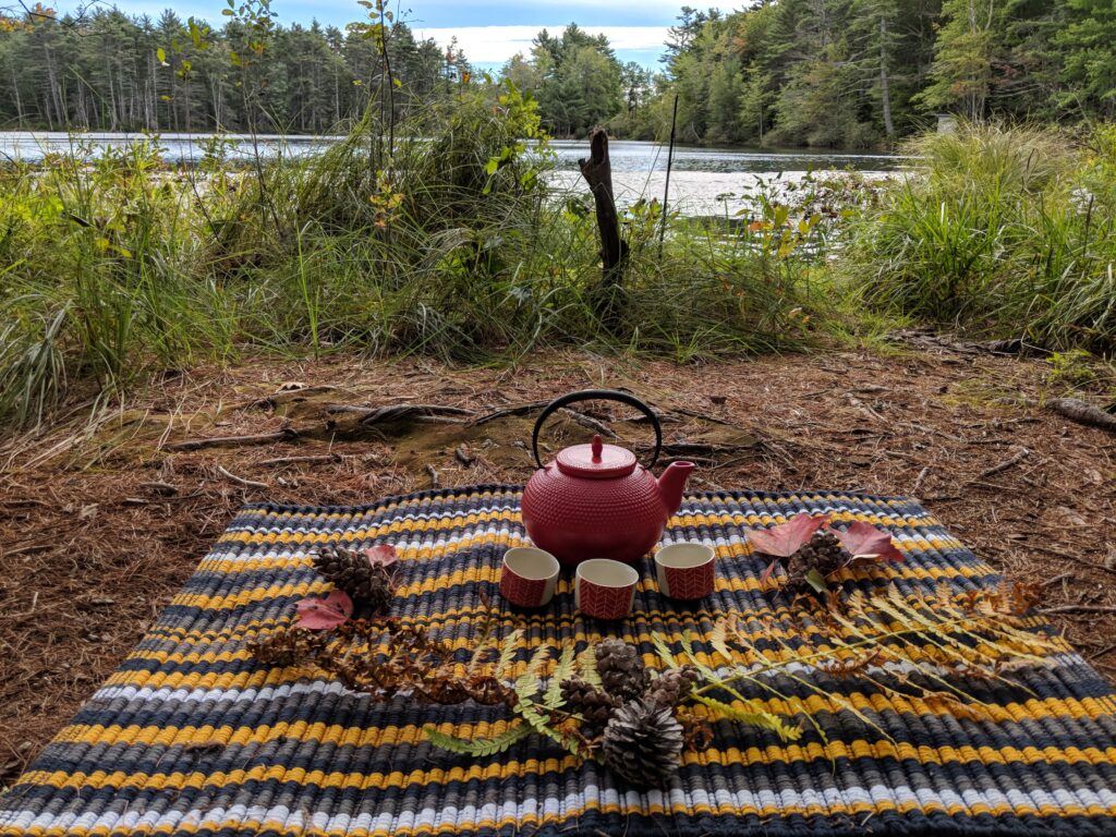 Tea Foraging Walk. Photo Credit: Jeanne Christie