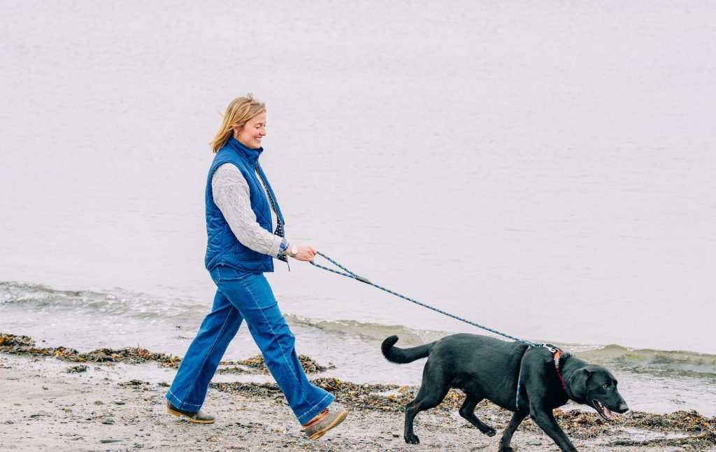 Dog Walk on Willard Beach. Photo Credit: Mat Trogner