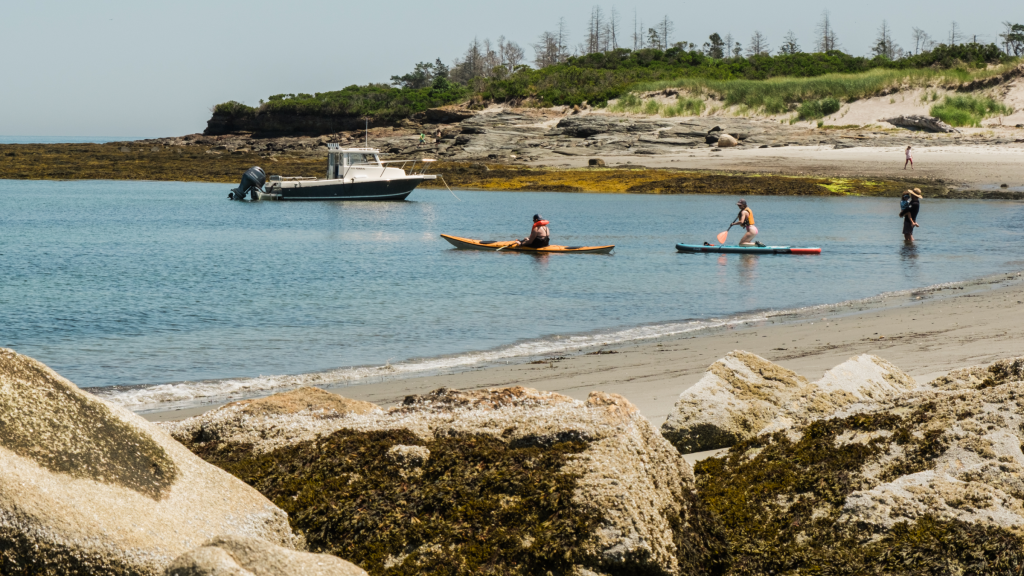 People kayaking and paddleboarding in a calm bay near a rocky beach in Portland Maine.
